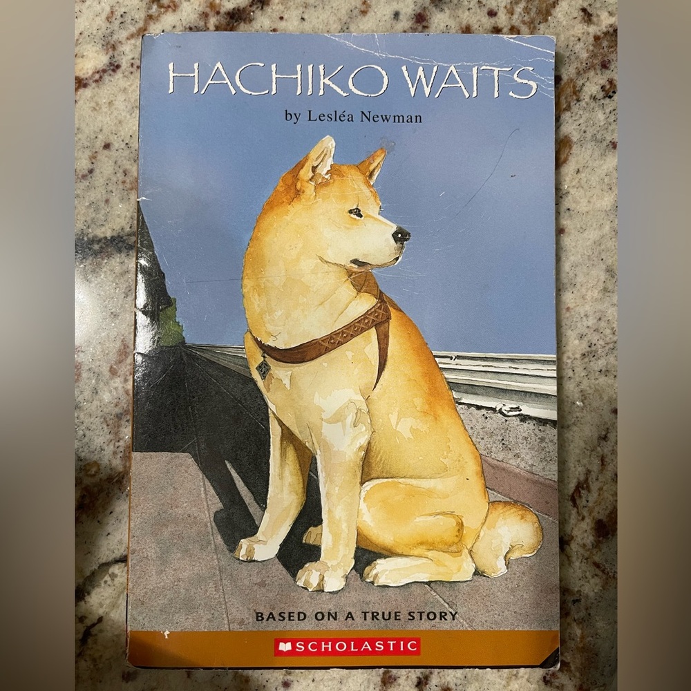 Hachiko Waits Book Used